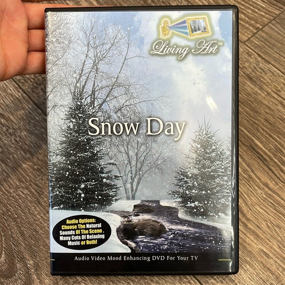 Snow Day Living art DVD - Picture 1 of 3